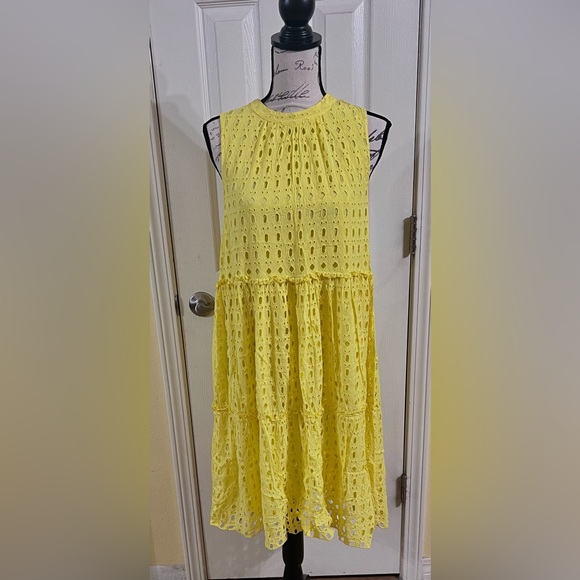 Lilly Pulitzer Indira Eyelet Swing Mini Dress - Picture 3 of 11
